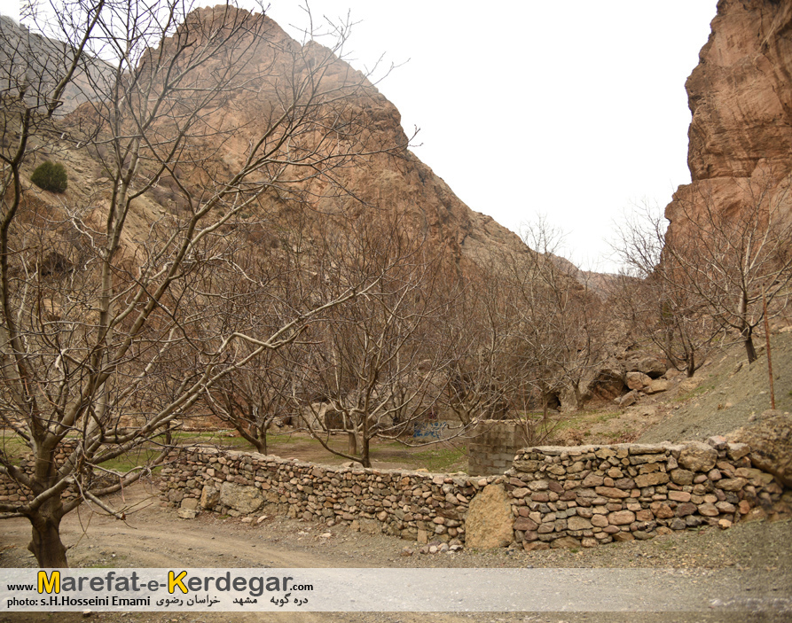 طبیعت روستای امرودک